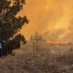 PICHILEMU: ALERTA ROJA POR INCENDIO FORESTAL